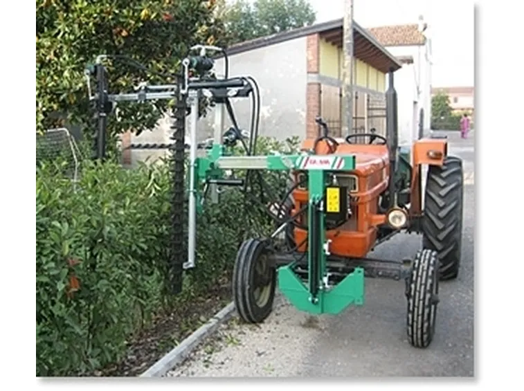 Taglio Siepi-6