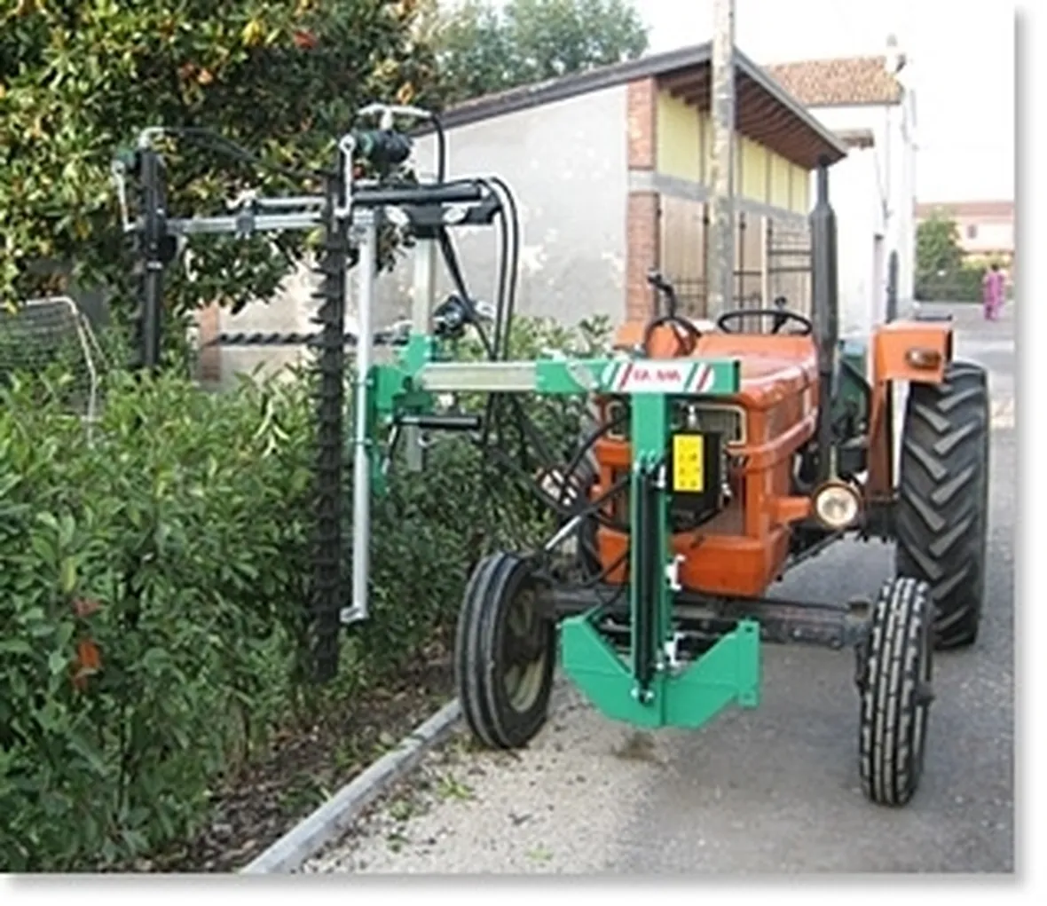 Taglio Siepi-6