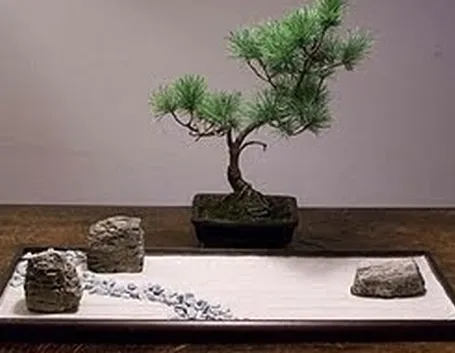 Complementi d'arredo giardini Zen-5