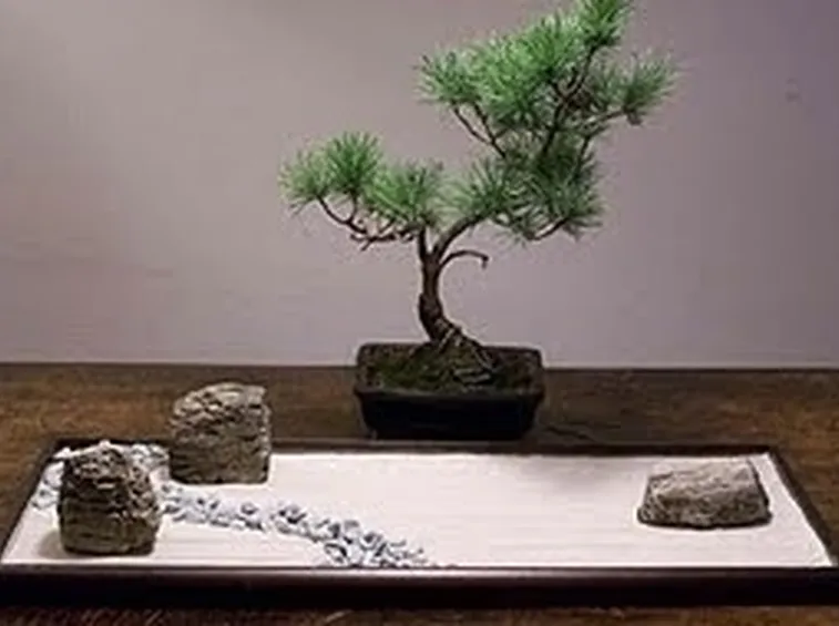 Complementi d'arredo giardini Zen-5