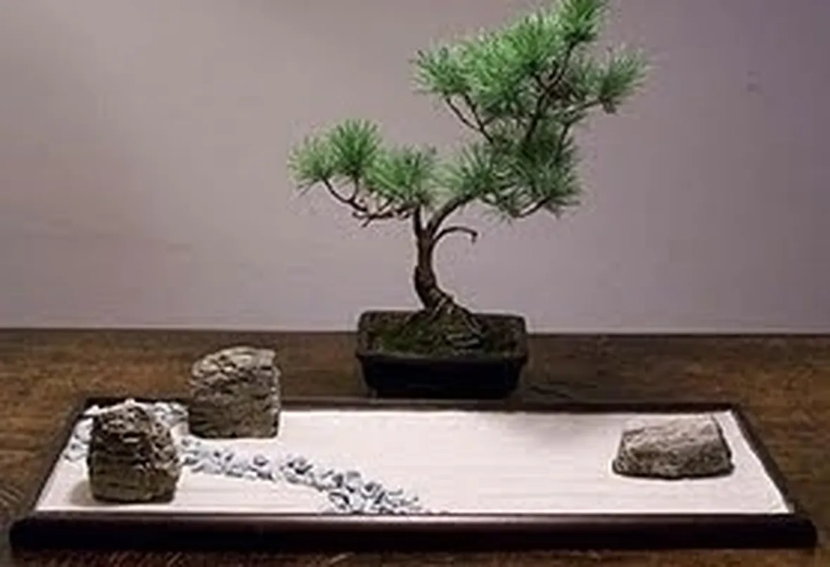 Complementi d'arredo giardini Zen-5