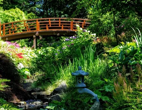 Filosofia giardini Zen-5