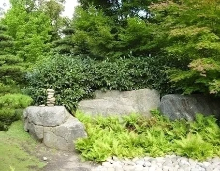 Progettazione giardini Zen-7