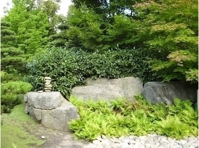 Progettazione giardini Zen-7