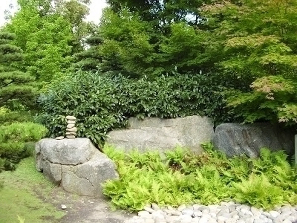 Progettazione giardini Zen-7