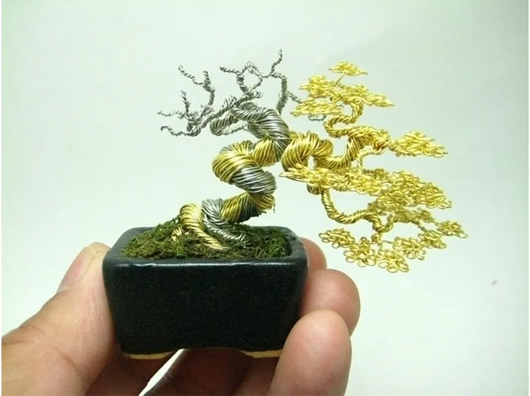 Domanda : bonsai da ghianda