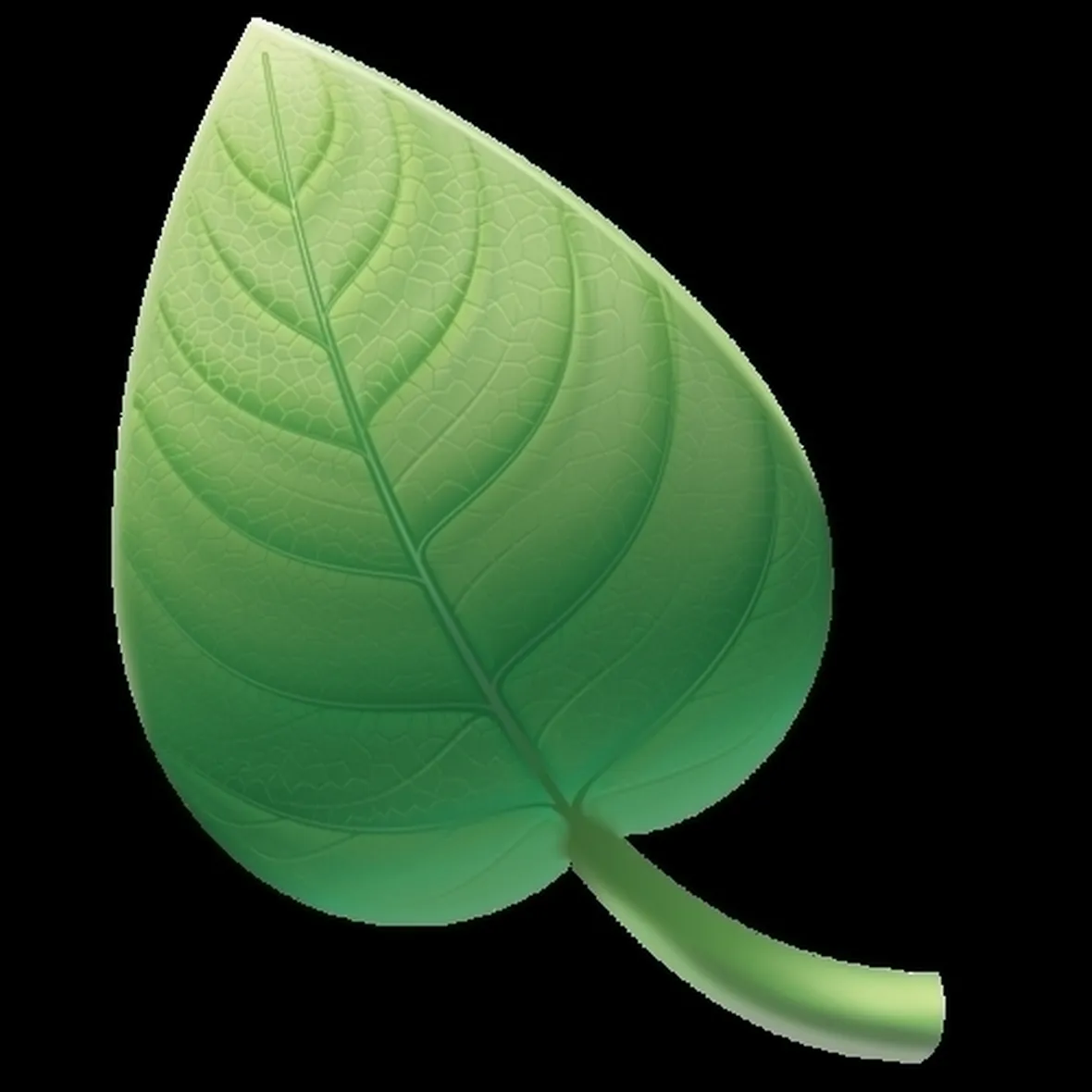 Malattie dell'orchidea e relative cure