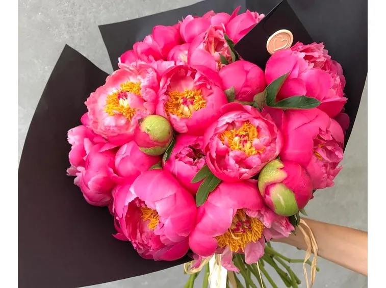 Peonia-22