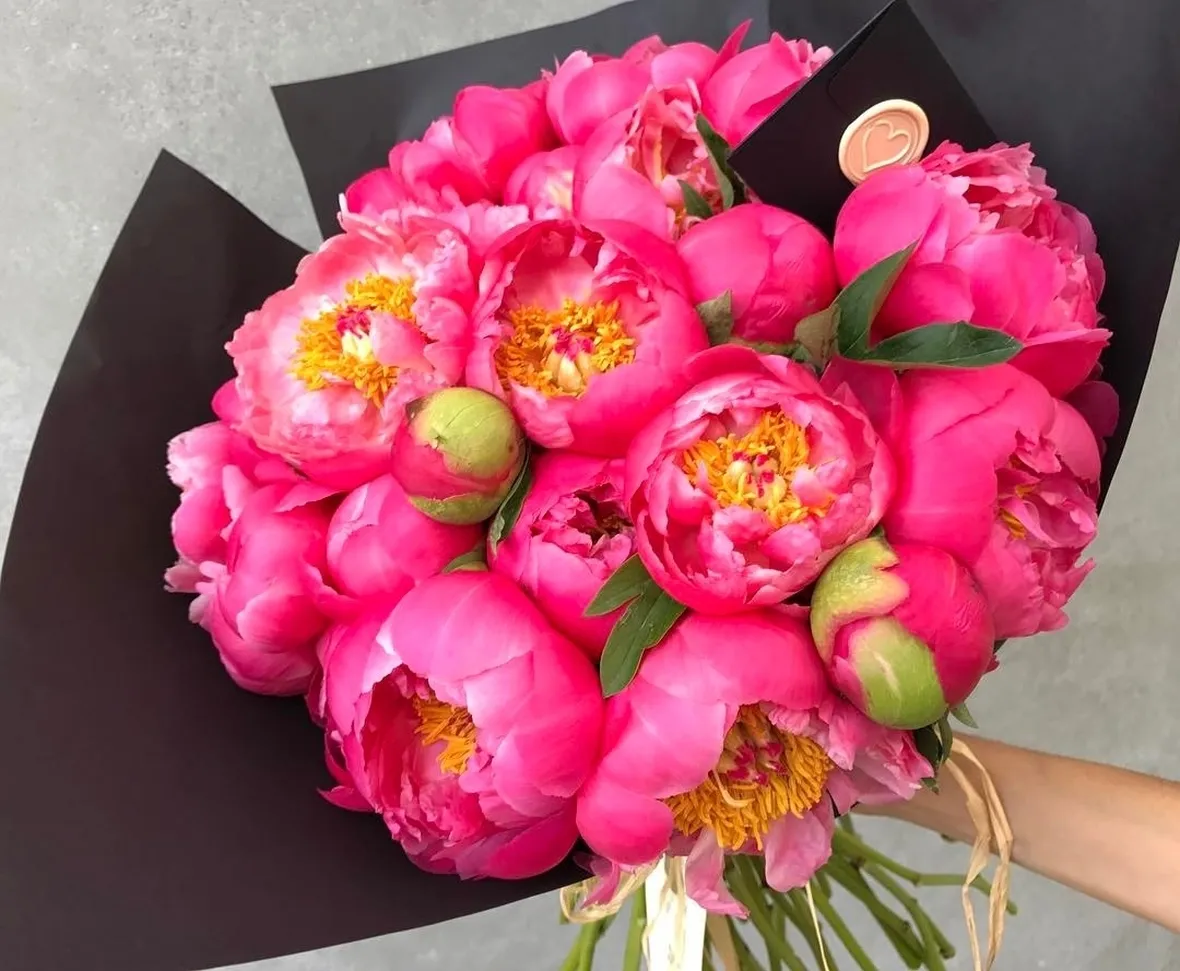 Peonia-22