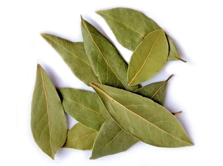 Sciroppo di mele e foglie di alloro