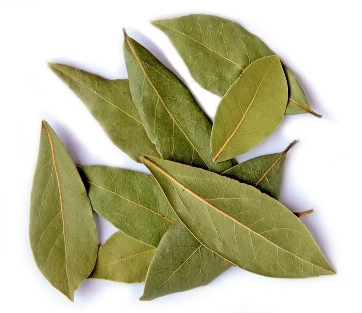 Sciroppo di mele e foglie di alloro