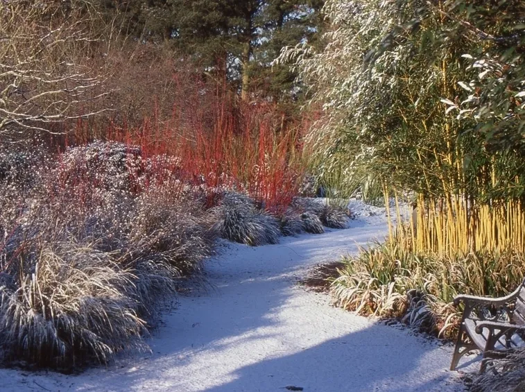 giardini d'inverno-6