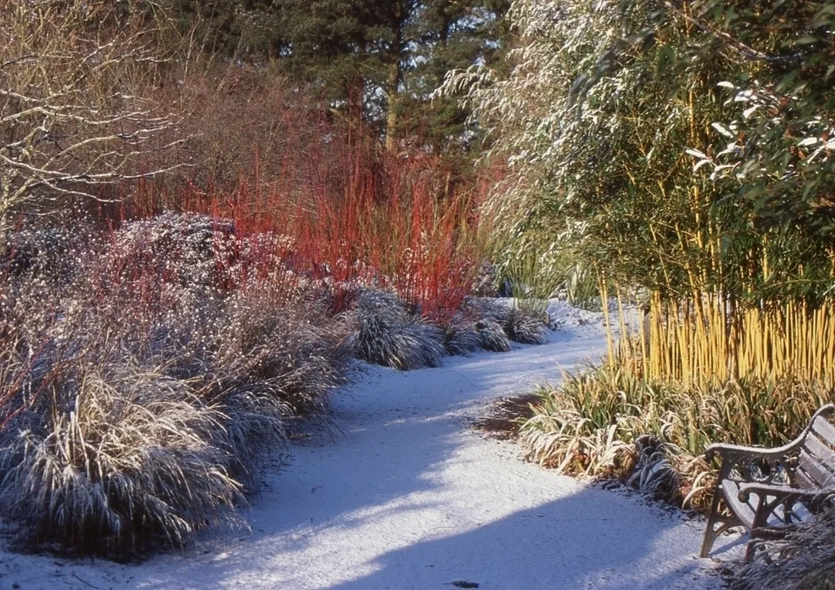 giardini d'inverno-6