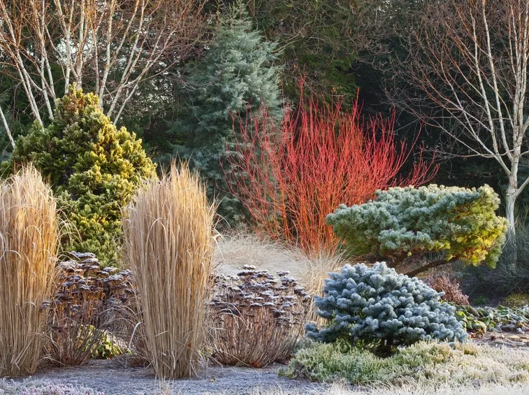 giardini d'inverno-7