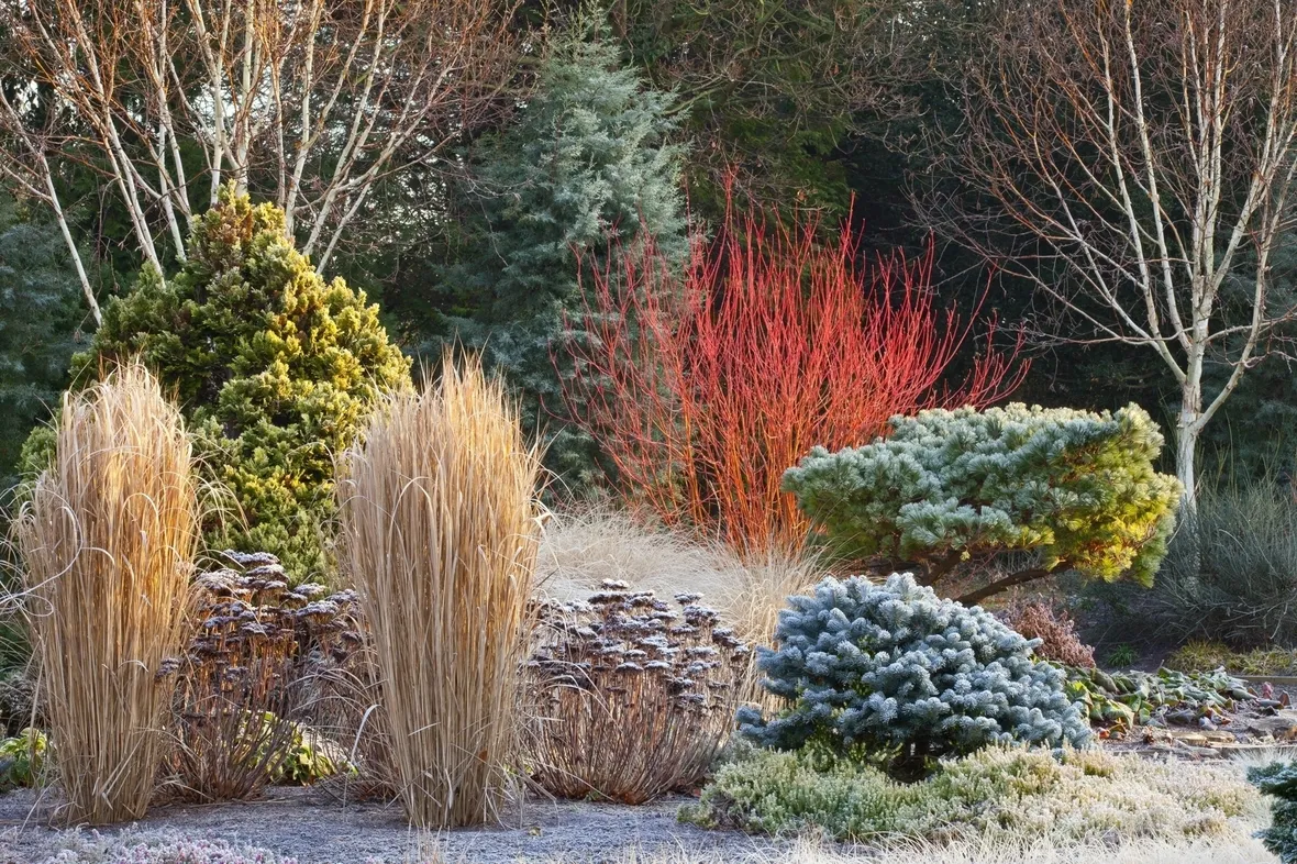 giardini d'inverno-7