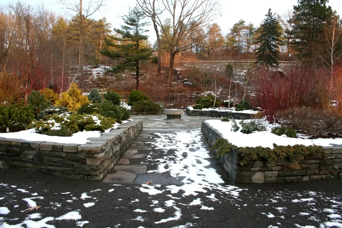 giardini d'inverno-8
