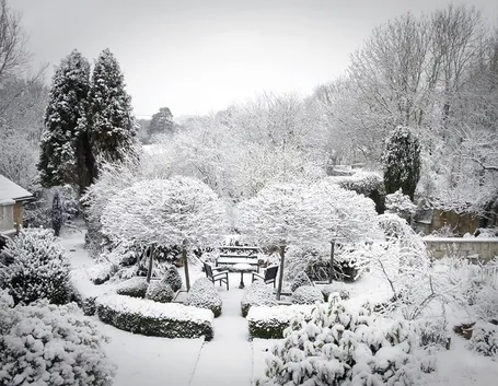giardini d'inverno-9