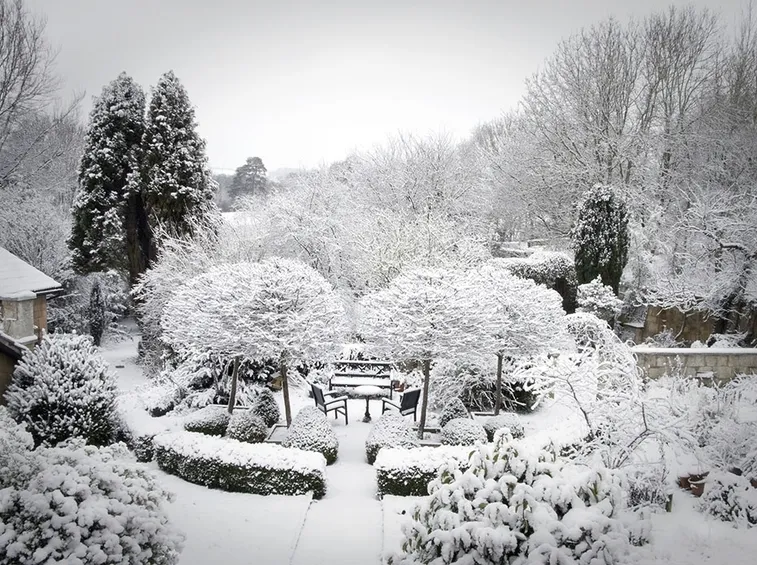 giardini d'inverno-9