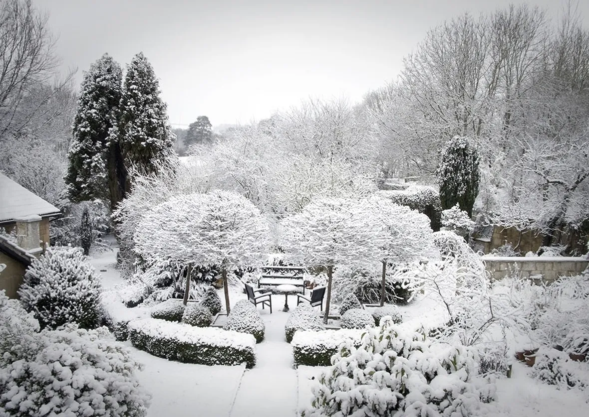giardini d'inverno-9