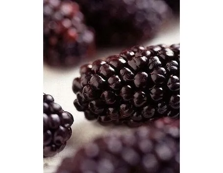 Litchis