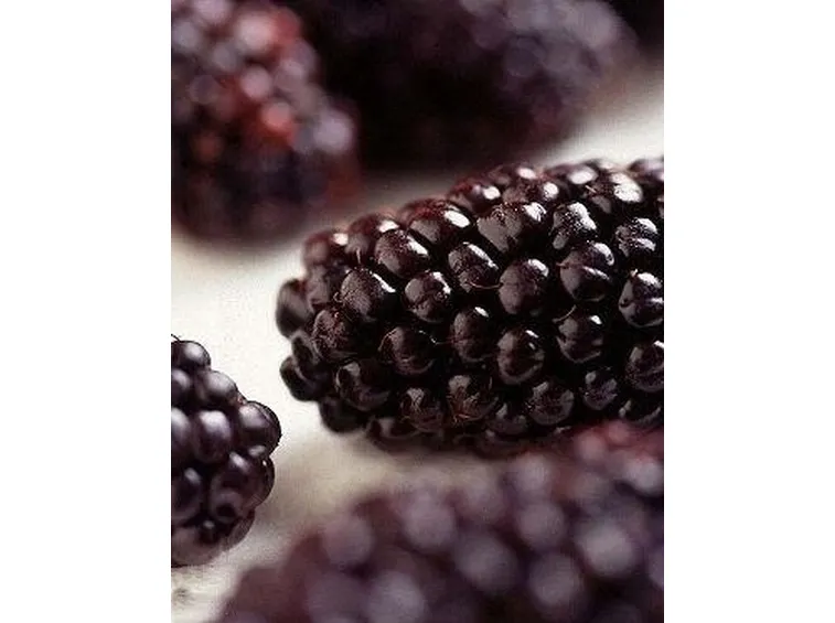 Litchis