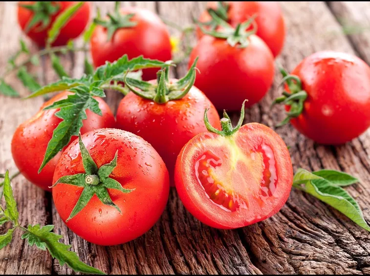 Caratteristiche del pomodoro
