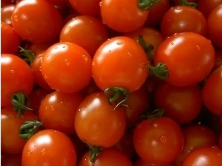 pomodoro