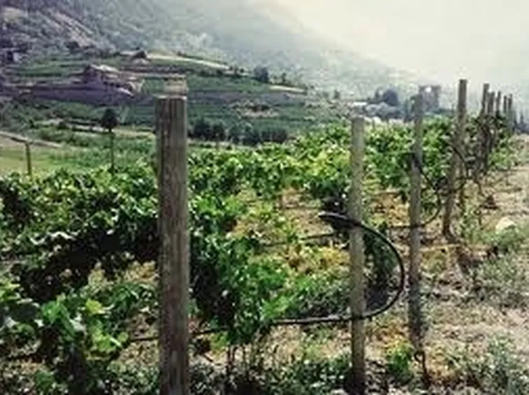 progetto impianto irrigazione-2