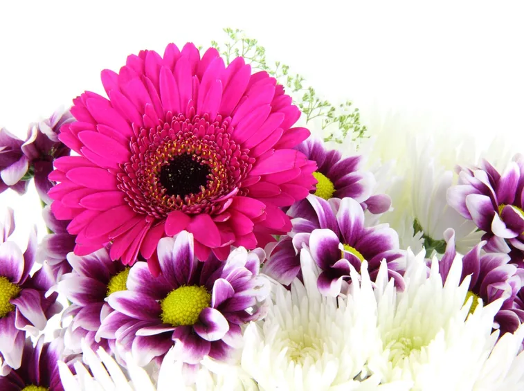 Regalare Fiori-15