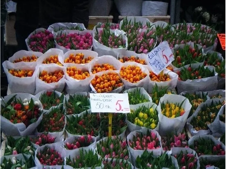 Regalare Fiori-18