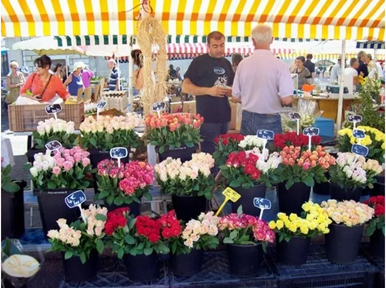Regalare Fiori-2