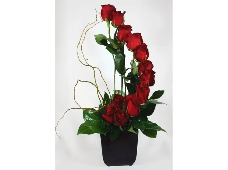 Problemi delle rose