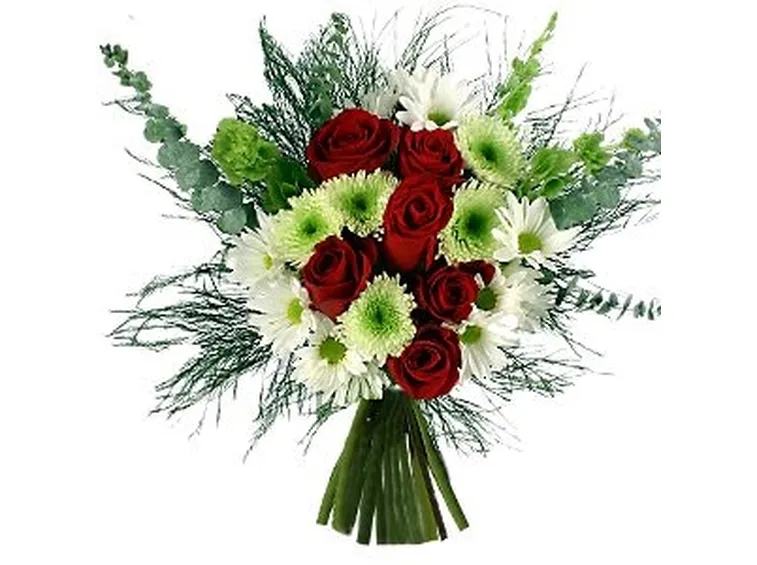 Domanda : piante di rose