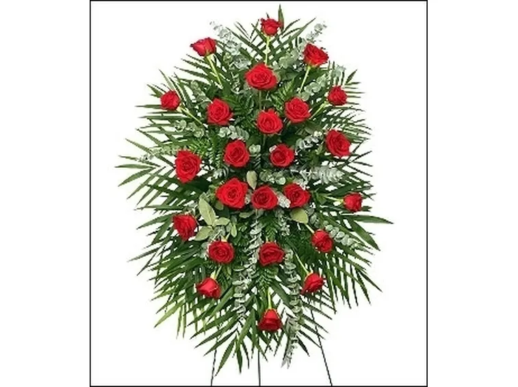 Le rose botaniche