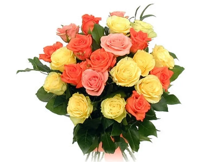 I parassiti delle rose 