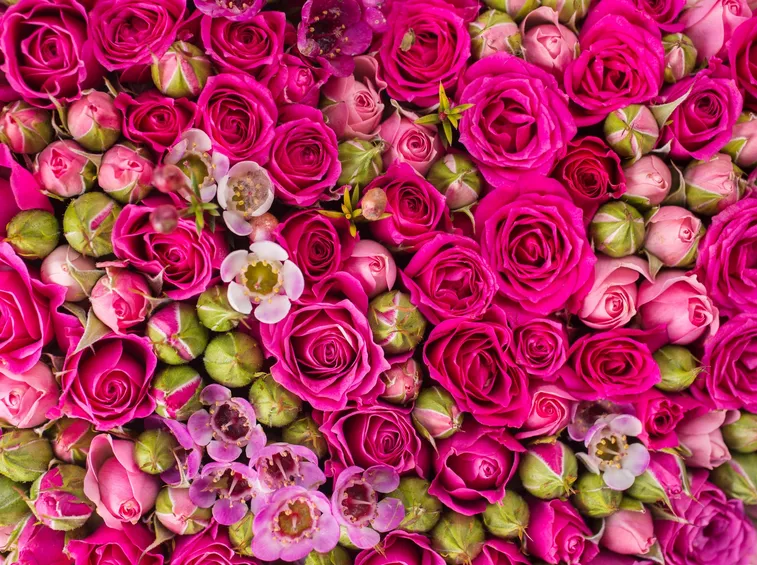 significato dei fiori