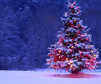 Albero di natale