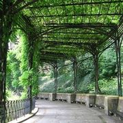pergole in ferro-6