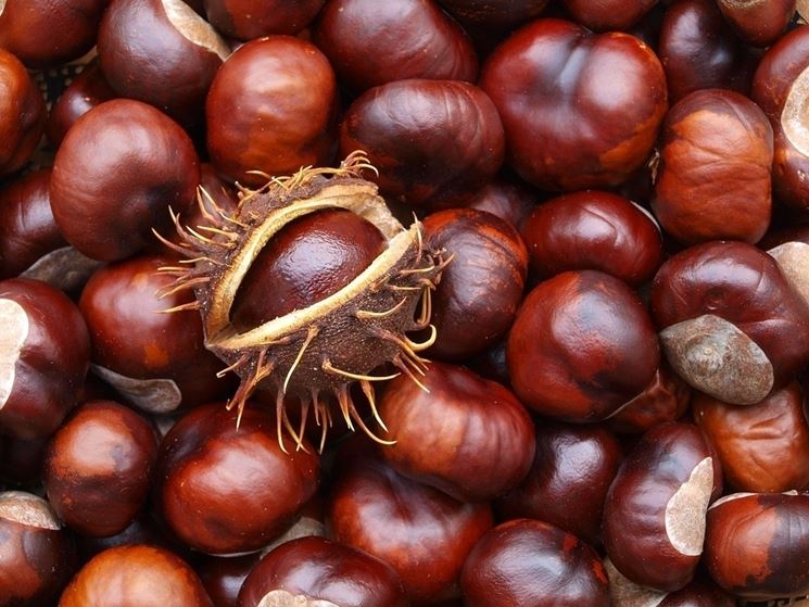 Castagne