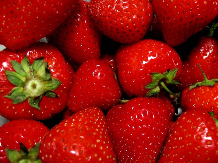 Fragola-26