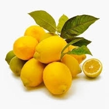 Risposta : pianta di limone