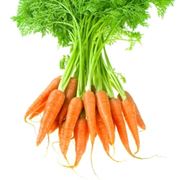 Carota-10