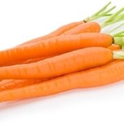Carota-14