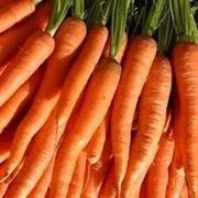 Carota-17
