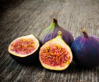 Ficus carica