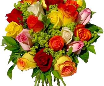 Fiore
