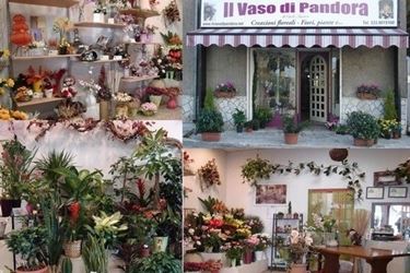inviare fiori-17