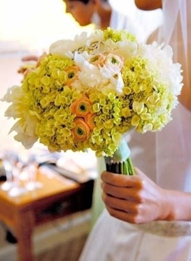 Fiore di trifoglio