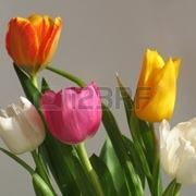 bouquet per aziendali
