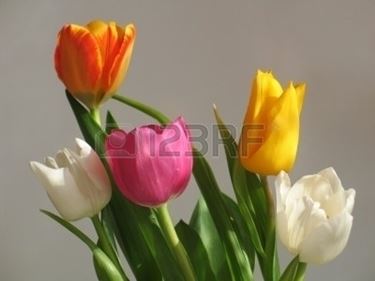 bouquet per aziendali
